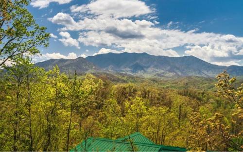 Black Bear Falls House | Enchanted View Lodge cabin