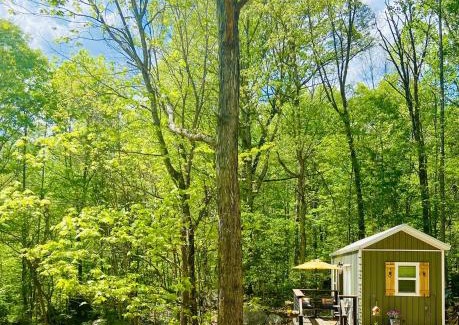 Newport House | Enchanting Cottage In The Woods