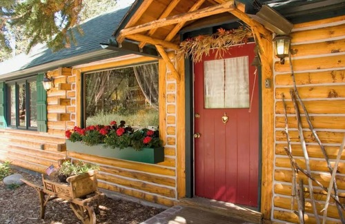 Allenspark Cabin | Enchanting Mountain Log CabinnPines, Aspens & meadows and abundant wildlife.