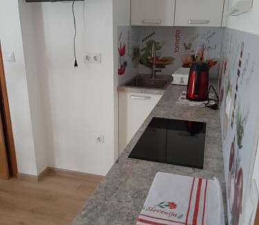 Studor Apartment | Encijan