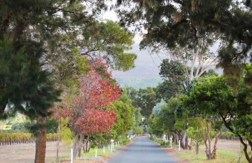 Bot River House | Endless Vineyards at Wildekrans Wine Estate