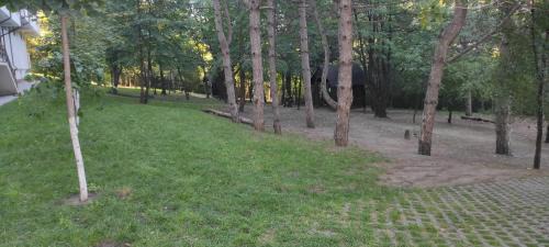 Chisinau Apartment | English Breakfast