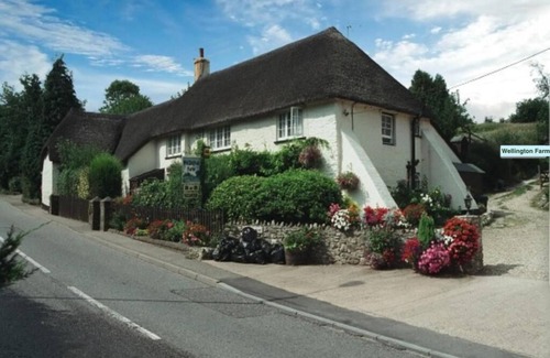 Wilmington House | English heritage Cottage Devon Dog-friendly near beaches/National Parks