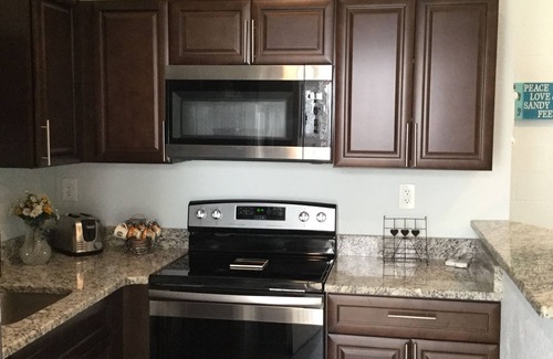 Port Richey House | ❤️English Tudor Guest House fenced yard BRING PET! Mini Donkey to pet❤️ MAY SALE!