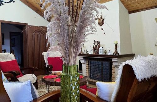 Lezhe Villa | Eni's Villa