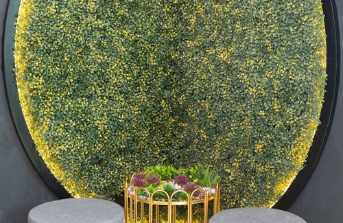 El Cangrejo Apartment | Enjoy a fabulous stay in this uniquely-styled studio at the best location in El Cangrejo