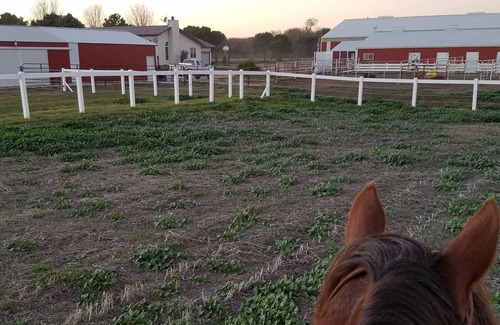York County House | Enjoy a Stay at a Horse Motel in York, NE, Handicap Accessible/Pet Friendly