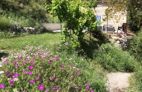 Saint-Andre-les-Alpes Villa | Enjoy an authentic Provencal cabanon set in a hectare with a magnificent view!