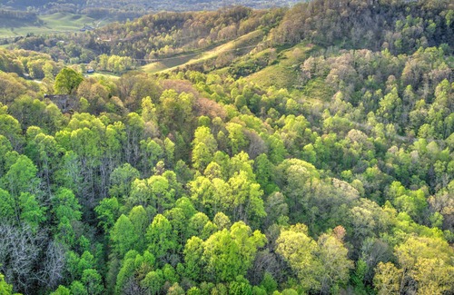 Waynesville House | Enjoy Luxury at The Perfect Season