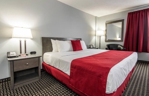 Grande Prairie Hotel | Enjoy Modern Comfort in Clean Room, Steps from Majors Restaurant