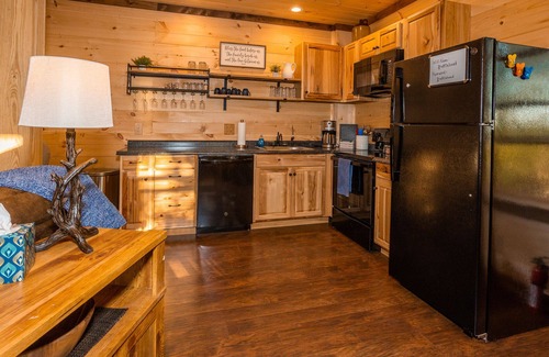 Bristol Cabin | Enjoy Mtn/Rvr Views from Bufflehead Cabin, porch fireplace, 500ft river frontage