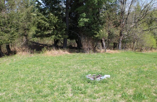 Fletcher Cabin | Enjoy nature in a cabin getaway, wildflowers, lush fields and maple woods trails