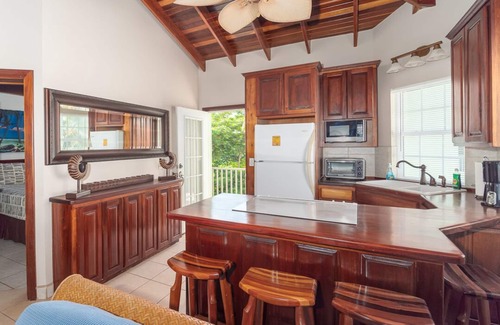 San Pedro Condo | Enjoy ocean views from this 2 bedroom/2 bathroom condo - Gold Standard Approved
