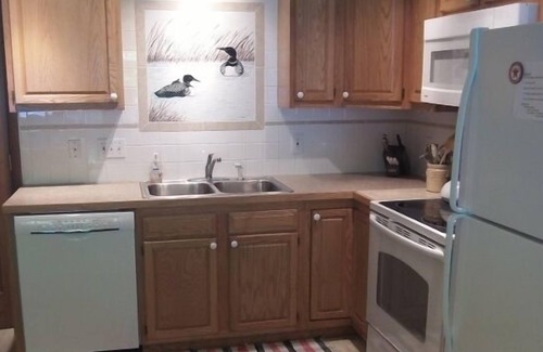 Williamsburg Cottage | Enjoy our Skegemog Lakefront Cottage/w dock & Boat Hoist on Elk-Torch Chain