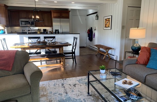 Snowmass Village Condo | ENJOY THE MOUNTAINS! WOODBRIDGE 2/2