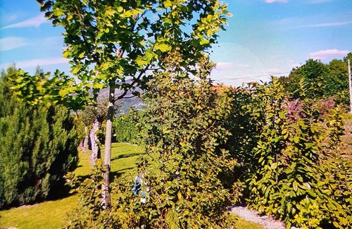 Molares House | Enjoy w/friends, family in the peaceful nature, pool wonderful panorama, for 6