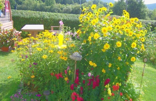 Bobrach Apartment | Enjoy your holiday in the contemplative Böbrach in ArberLand near Bodenmais.