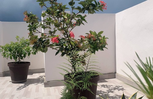 Monte Plata Apartment | Enjoyable 1-bedroom apartment 4C con AC and more in Monte Plata