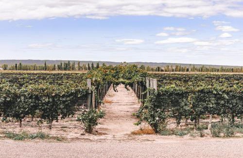 Ugarteche Hotel | Enlace Wine House