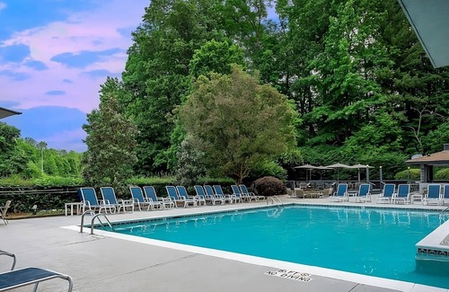 Executive Park Hotel | Ensuring a Very Comfortable & Memorable Stay! Pets Are Welcome, Parking, Pools!