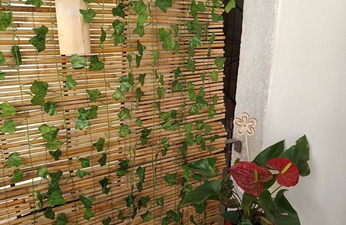 Rovereto Apartment | Entire apartment for rent for vacation or business in the historic center