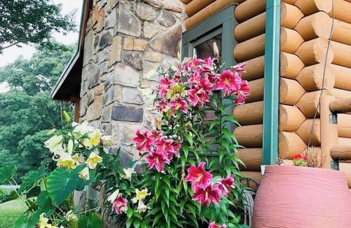 Maryville Cabin | Entire Cabin 15 mins to The Great Smoky Mountains