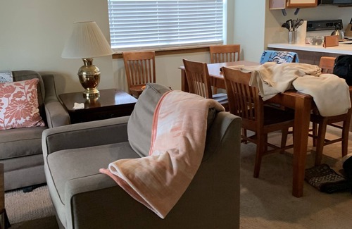 Indian Point Condo | Entire condominium: Branson - Lake access - Close to Silver Dollar City