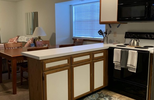 Indian Point Condo | Entire condominium: Branson - Lake access - Close to Silver Dollar City