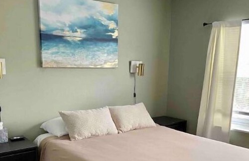 Sulphur Springs Apartment | Entire Cozy Apartment in Tampa
