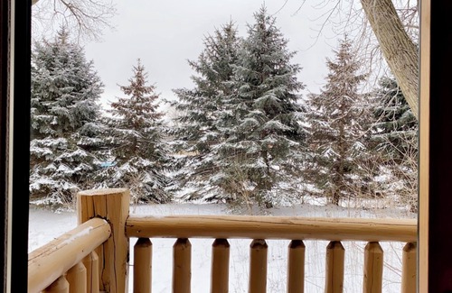 Oglesby Cabin | Entire Cozy Villa 2 min Near Starved Rock!
