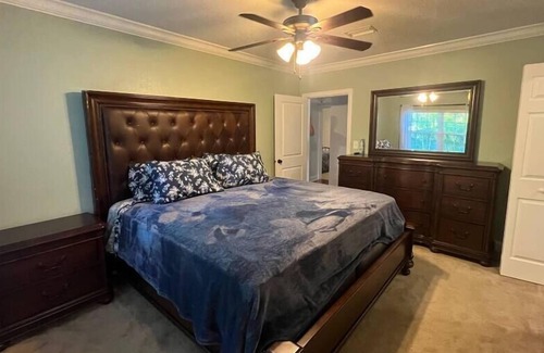 Palma Ceia House | Entire Home with Private Yard - 3 Bed/2 Bath Centrally Located Home!!