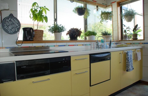 Isumi House | Entire house reserved, spacious living, bath in Hiba trees, BBQ, Foliage plants