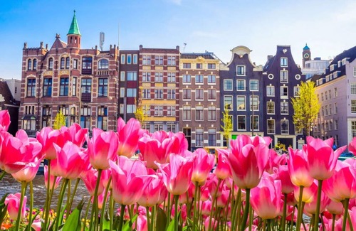 Municipality of Oostzaan House | ENTIRE HOUSE WITH PVT GARDEN & POOL - MINUTES FROM AMSTERDAM CENTRAL