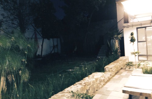 Del Valle Apartment | Entire place at Coyoacan in Mexico city(pet friendly)