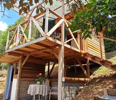 Yumbo Other | Entre Arboles Cali