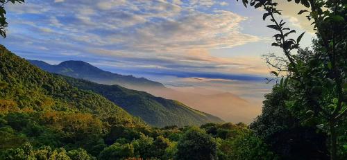 Yumbo Other | Entre Arboles Cali