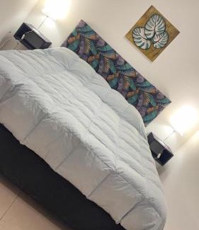 Historic Center Apartment | Entre Colores