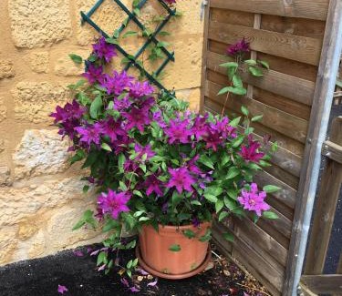 Saint-Cirq-Madelon Bed & Breakfast | Entre Lot et Dordogne