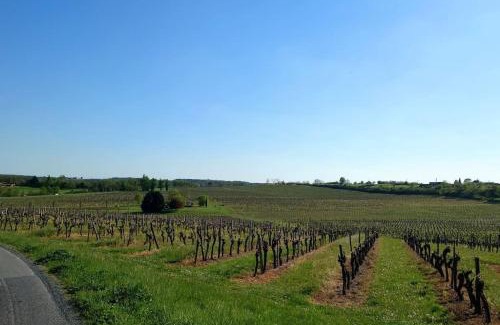 Monestier House | Entre Pierre et Vigne - Charming former Winery Farmhouse with Hot Tub & Swimming Pool