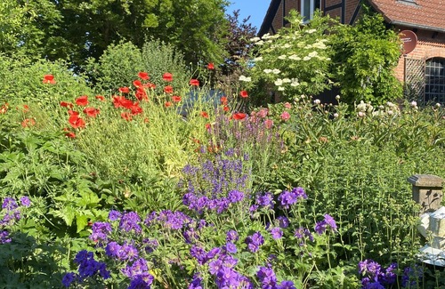 Hobstin Cottage | Entspannung pur Zwischen Ostsee und Holsteinische Schweiz