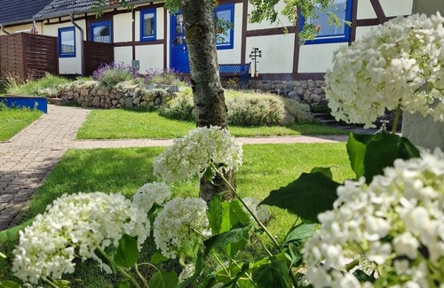 Jesendorf Apartment | Entspannter Familienurlaub im Gemütlichen Ferien-doppelhaus mit Seeblick