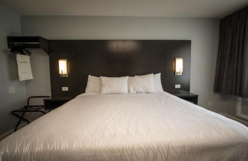Henderson Hotel | Envi Boutique Hotel Henderson-Evansville South