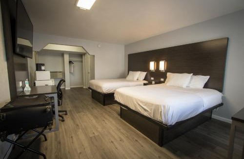Henderson Hotel | Envi Boutique Hotel Henderson-Evansville South