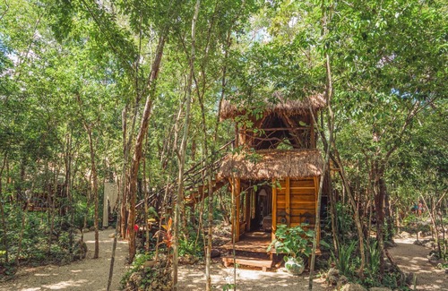 Leona Vicario Cabin | Equilibrio en cuerpo & mente | Hotel Madre Tierra
