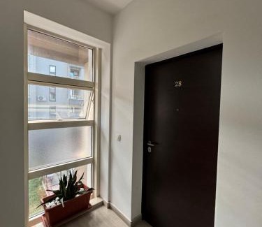 Budva Apartment | Ercofileee