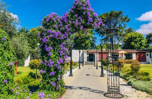 Dafna Hotel | Erettz Dafna Travel Hotel