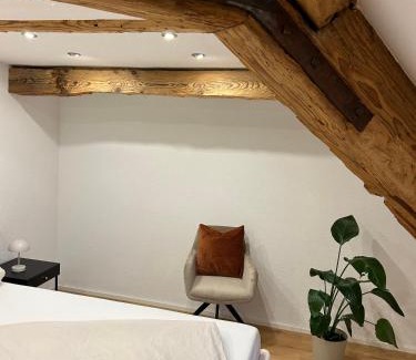 Bad Buchau Apartment | Erholungsloft