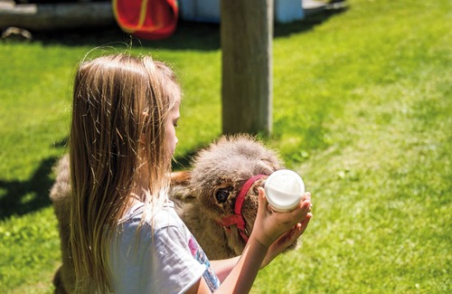 Sesto Ski Chalet | Erlebe Bergidylle im Stabingerhof. Authentischer Urlaub auf dem Bauernhof
