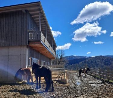 Frantschach-Sankt Gertraud Apartment | Erlebnisbauernhof Gutschi Ranch
