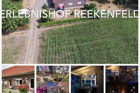 Reekenfeld Other | Erlebnishof Reekenfeld Wohnmobilstellplatz